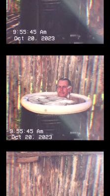 000_01_0051.jpeg