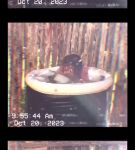 Filename=000_01_0033.jpeg
Filesize=158KiB
Dimensions=608x1088
Date added=Nov 06, 2023 000_01_0033.jpeg