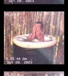 Filename=000_01_0036.jpeg
Filesize=158KiB
Dimensions=608x1088
Date added=Nov 06, 2023 000_01_0036.jpeg