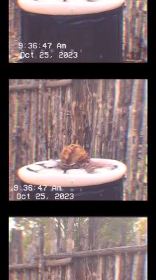 000_01_0013.jpeg
