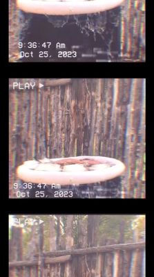 000_01_0014.jpeg