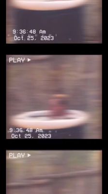000_01_0036.jpeg