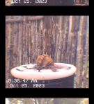 000_01_0013.jpeg