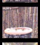 000_01_0014.jpeg