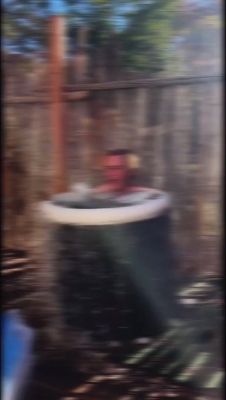 000_01_0003.jpeg