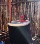 000_01_0010.jpeg