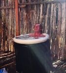 000_01_0012.jpeg