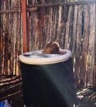 000_01_0013.jpeg