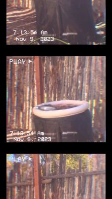 000_01_0043.jpeg