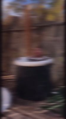 000_01_0009.jpeg