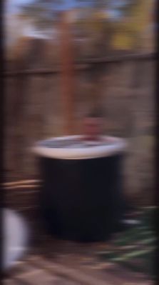 000_01_0082.jpeg