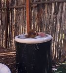 000_01_0050.jpeg