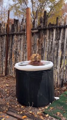 000_01_0048.jpeg