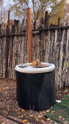 000_01_0049.jpeg