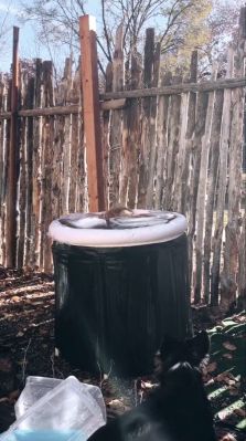 000_01_0056.jpeg