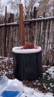 000_01_0077.jpeg