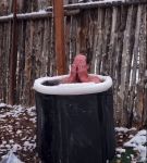 000_01_0082.jpeg