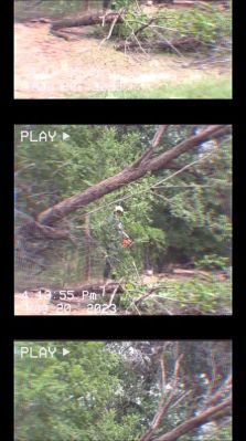 000_01_0040.jpeg