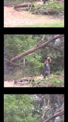 Click to view full size image
==============
000_01_0045.jpeg 000_01_0045.jpeg