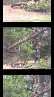 Click to view full size image
==============
000_01_0046.jpeg 000_01_0046.jpeg
