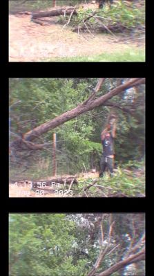 000_01_0047.jpeg