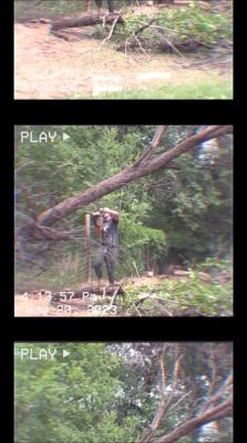 000_01_0052.jpeg