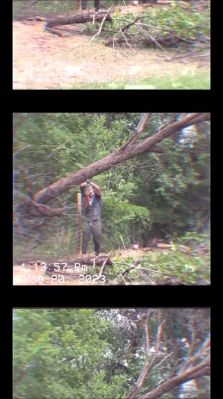 000_01_0053.jpeg