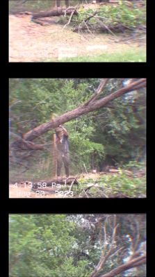 000_01_0061.jpeg
