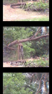 000_01_0062.jpeg