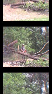 000_01_0065.jpeg