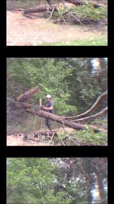000_01_0069.jpeg