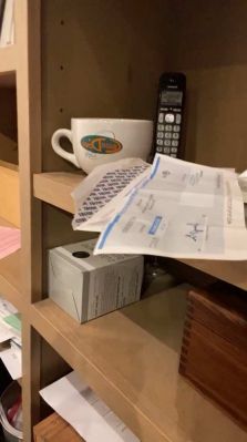 bfigl_001_0550.jpeg