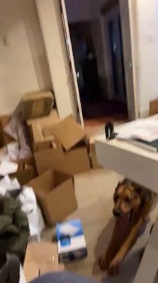 bfigl_001_1066.jpeg