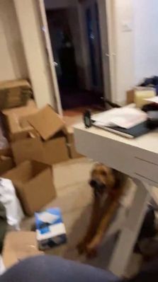 bfigl_001_1067.jpeg