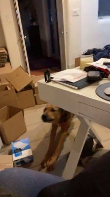 bfigl_001_1068.jpeg