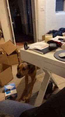 bfigl_001_1069.jpeg