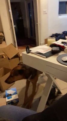 bfigl_001_1071.jpeg