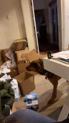 bfigl_001_1075.jpeg