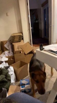 bfigl_001_1087.jpeg