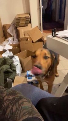 bfigl_001_1097.jpeg