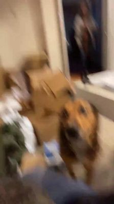 bfigl_001_1104.jpeg