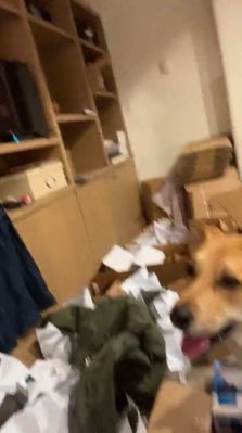 bfigl_001_3160.jpeg