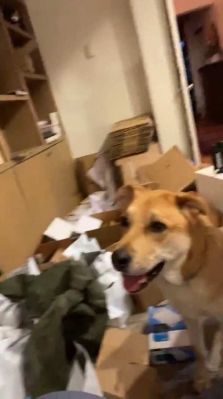 bfigl_001_3161.jpeg