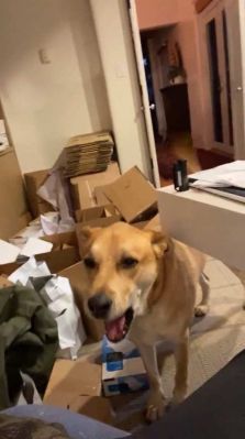 bfigl_001_3164.jpeg