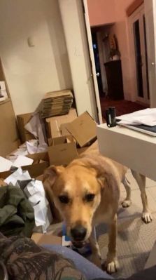 bfigl_001_3170.jpeg
