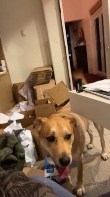 bfigl_001_3171.jpeg