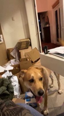 bfigl_001_3172.jpeg
