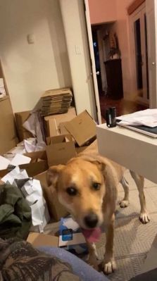 bfigl_001_3173.jpeg