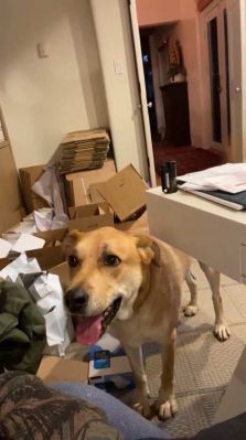 bfigl_001_3176.jpeg