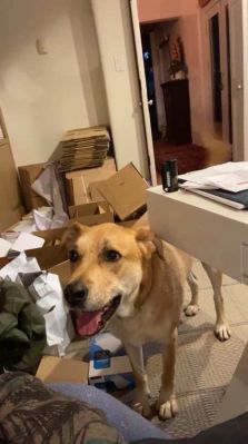 bfigl_001_3178.jpeg